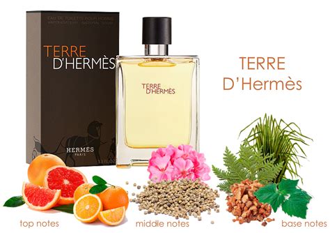 scents similar to terre d'hermes